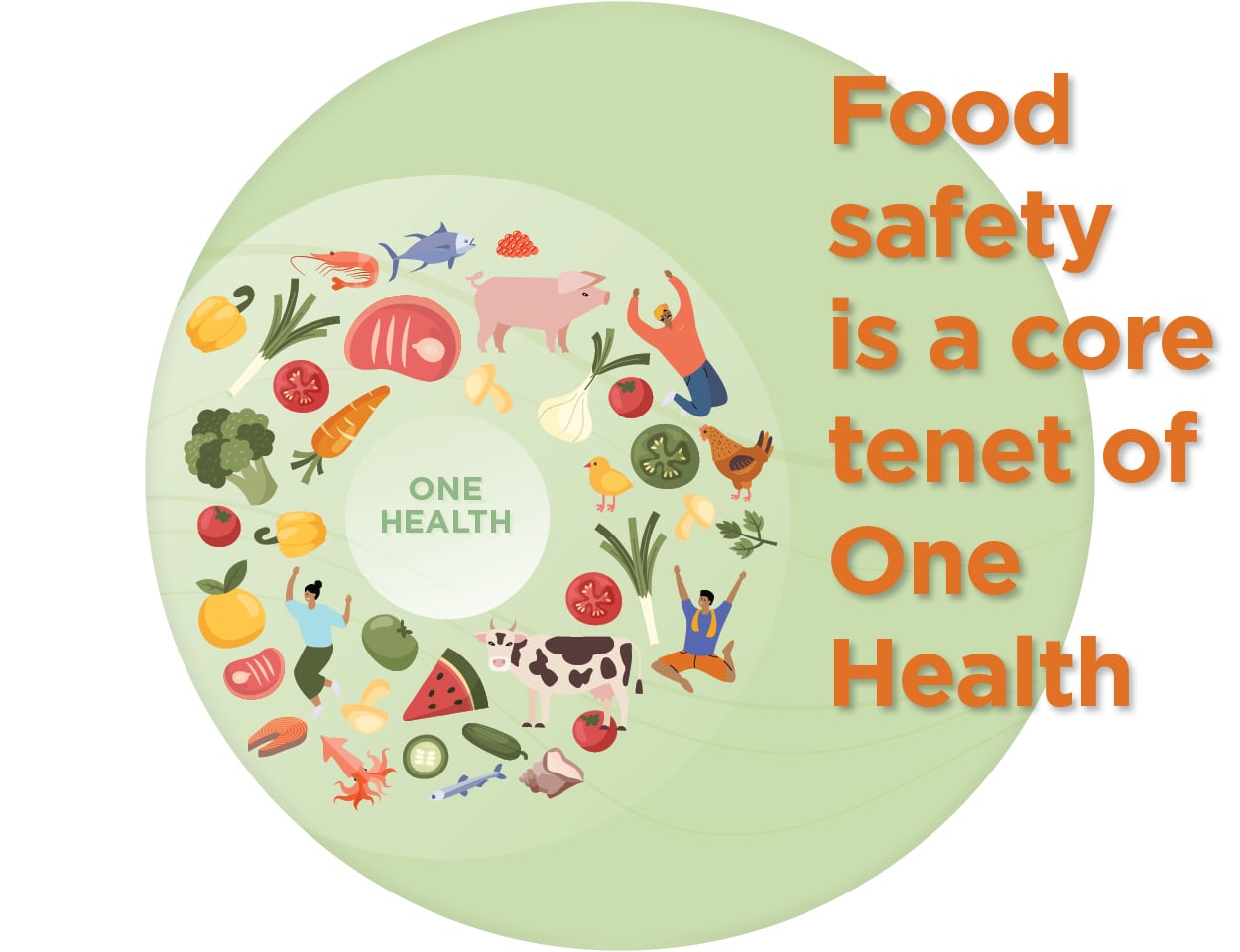 Food safety is a core tenet of One Health
